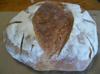 Sourdough Rosemary Olive Oil loaf at Saranac Sourdough